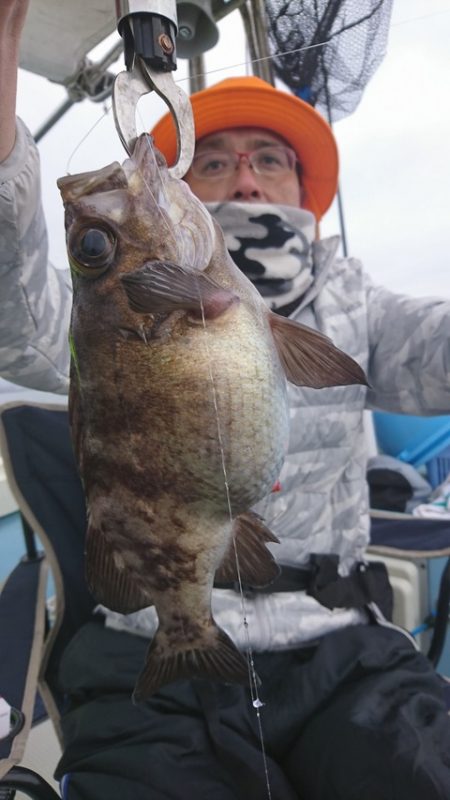 尚人丸 釣果