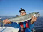 ＨＡＲＵＫＡ丸　はるかまる 釣果