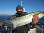 ＨＡＲＵＫＡ丸　はるかまる 釣果