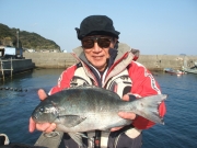 春日丸 釣果