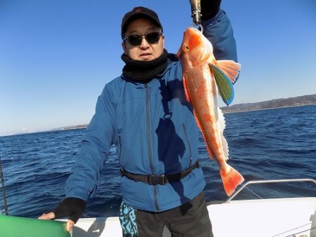 フィッシングボート空風（そらかぜ） 釣果