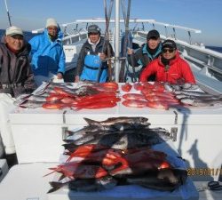 太郎丸 釣果