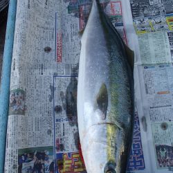 久六釣船 釣果