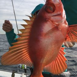 松栄丸 釣果