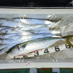 火遠理丸（ほおりまる） 釣果