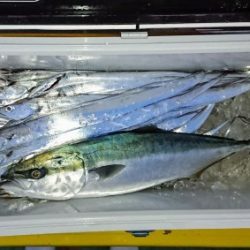 火遠理丸（ほおりまる） 釣果