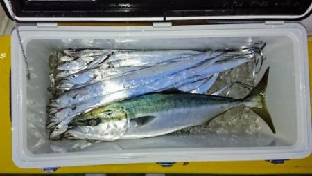 火遠理丸（ほおりまる） 釣果