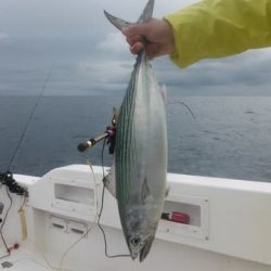 開進丸 釣果