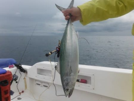 開進丸 釣果