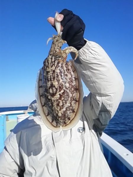 さわ浦丸 釣果