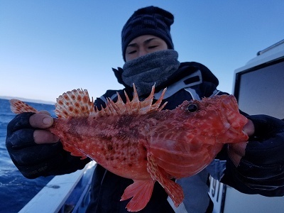 しまや丸 釣果