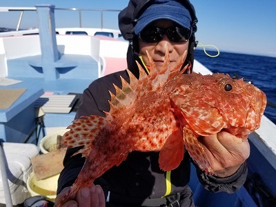 しまや丸 釣果