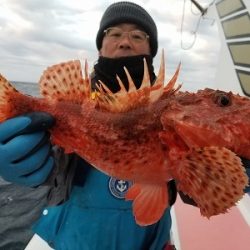 しまや丸 釣果