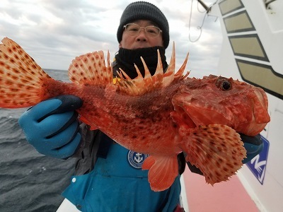 しまや丸 釣果