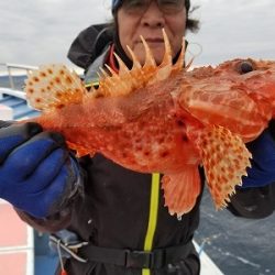 しまや丸 釣果