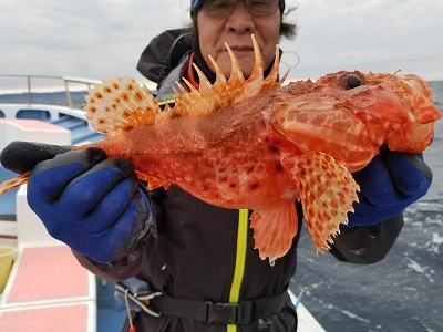 しまや丸 釣果