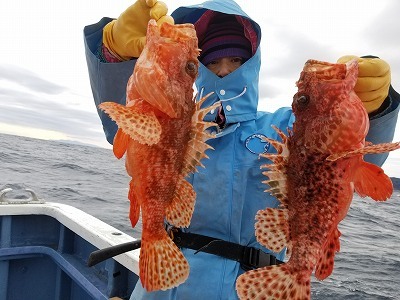 しまや丸 釣果