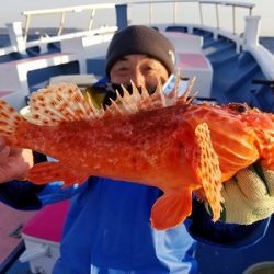 しまや丸 釣果