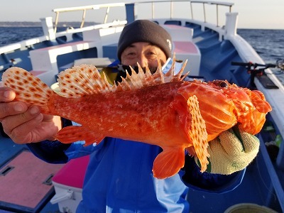 しまや丸 釣果