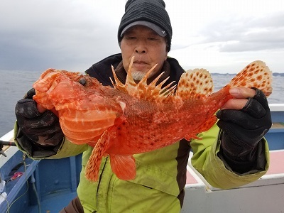 しまや丸 釣果