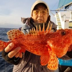 しまや丸 釣果