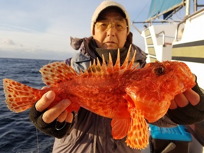 しまや丸 釣果