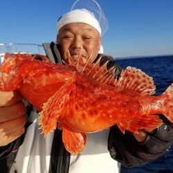 しまや丸 釣果