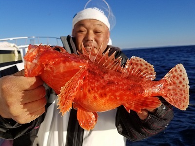 しまや丸 釣果