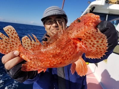 しまや丸 釣果