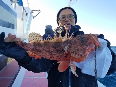 しまや丸 釣果