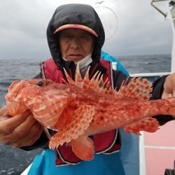 しまや丸 釣果