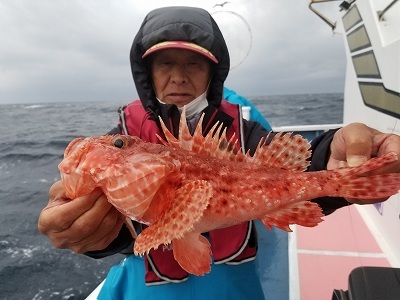 しまや丸 釣果