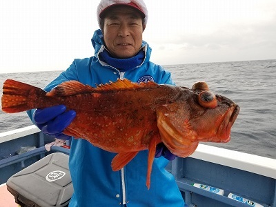 しまや丸 釣果