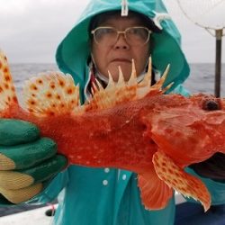 しまや丸 釣果