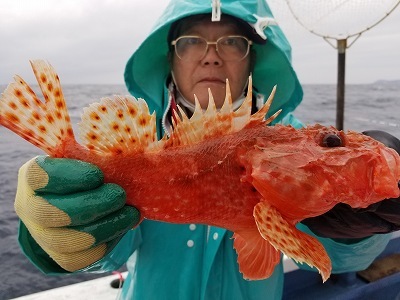 しまや丸 釣果