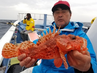 しまや丸 釣果