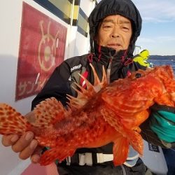 しまや丸 釣果