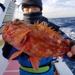 しまや丸 釣果