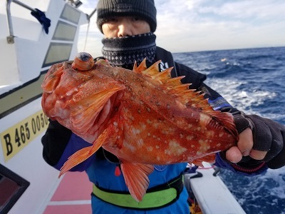 しまや丸 釣果