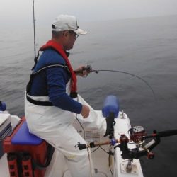 開進丸 釣果