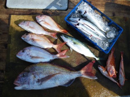 小海途 釣果