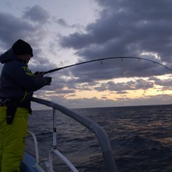 松鶴丸 釣果