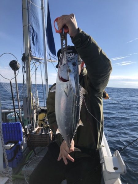 たいし丸 釣果