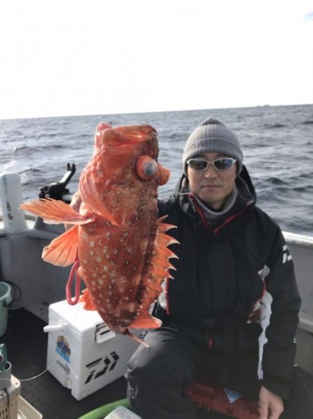 たいし丸 釣果