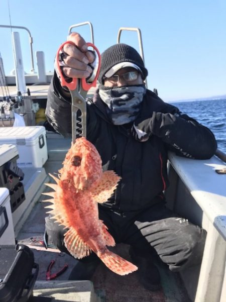 たいし丸 釣果