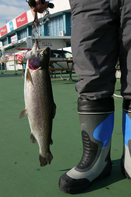 としまえんフィッシングエリア 釣果