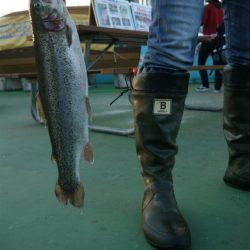 としまえんフィッシングエリア 釣果