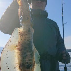 シースナイパー海龍 釣果