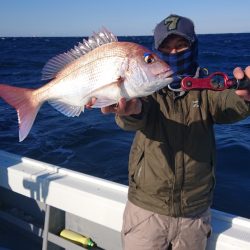 だて丸 釣果