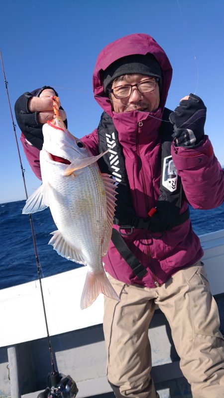 だて丸 釣果